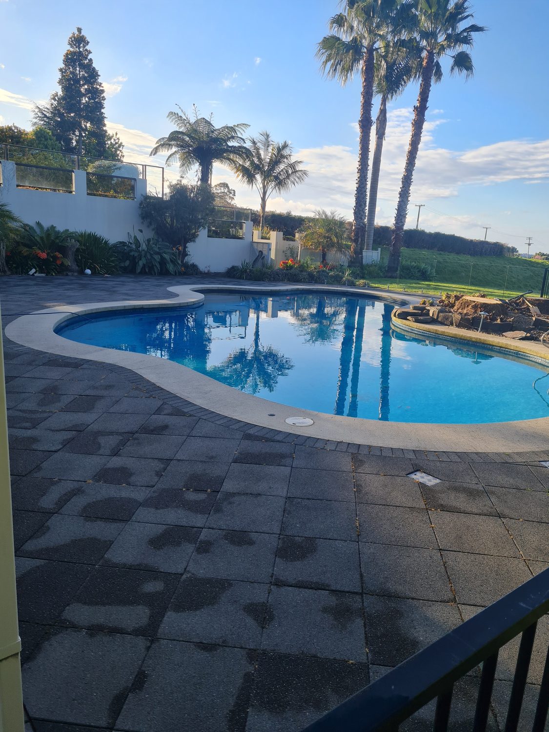 A kidney-shaped pool among palms with a dark paved surround