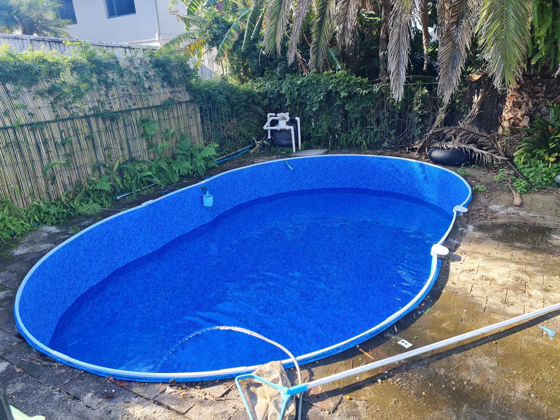 A cleaned pool with clear blue water and a blue liner, surrounded by palms and a bamboo fence